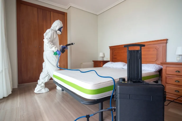 How to Manage Lakefront Hotels Insect Problems: A Forensic Audit